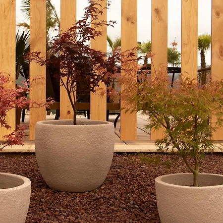 Turisticos En La Naturaleza *